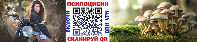 Псилоцибиновые грибы Cubensis  mega зеркало  дарк нет Telegram  Кизилюрт 